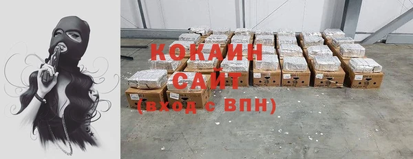 стаф Ладушкин