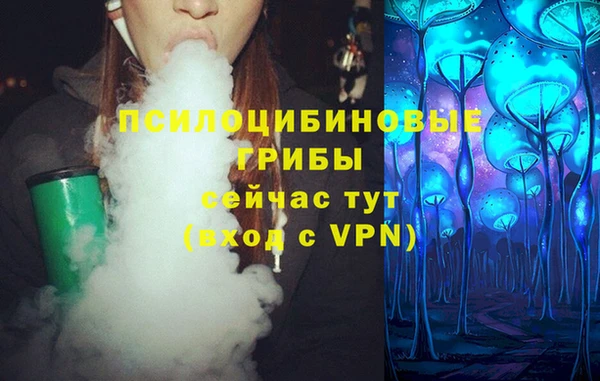 стаф Ладушкин