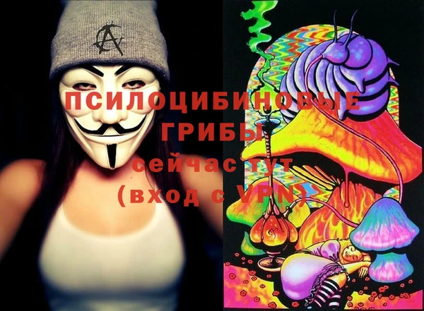 apvp Лагань