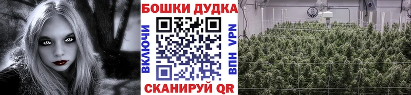 Бошки марихуана гибрид Горно-Алтайск